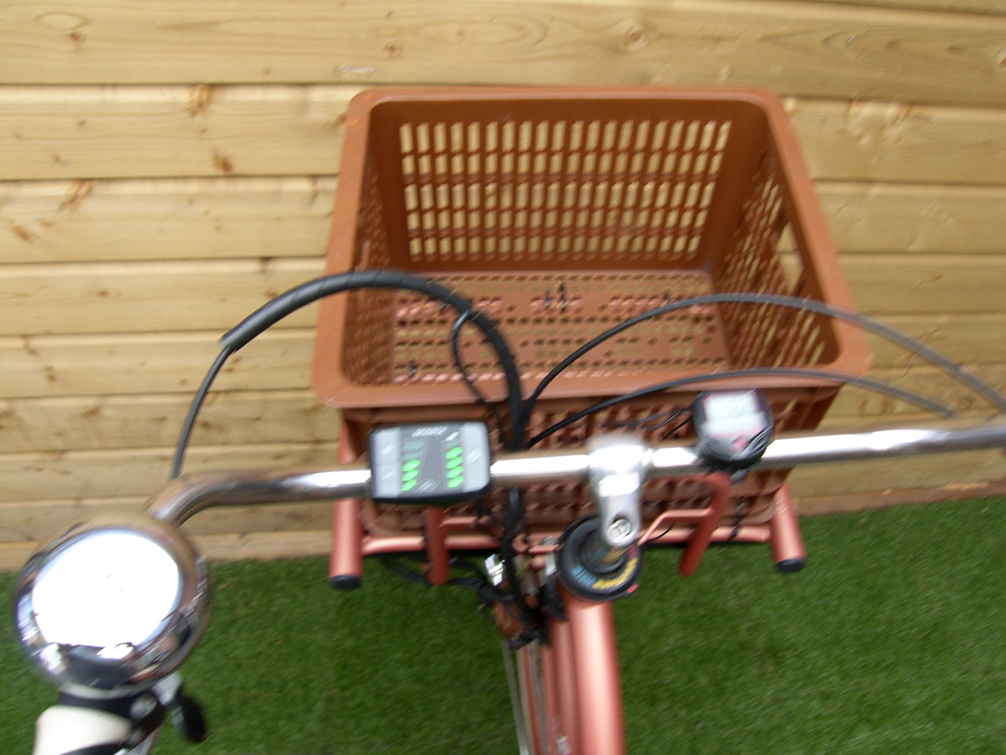 2538 - Sparta Lola JO