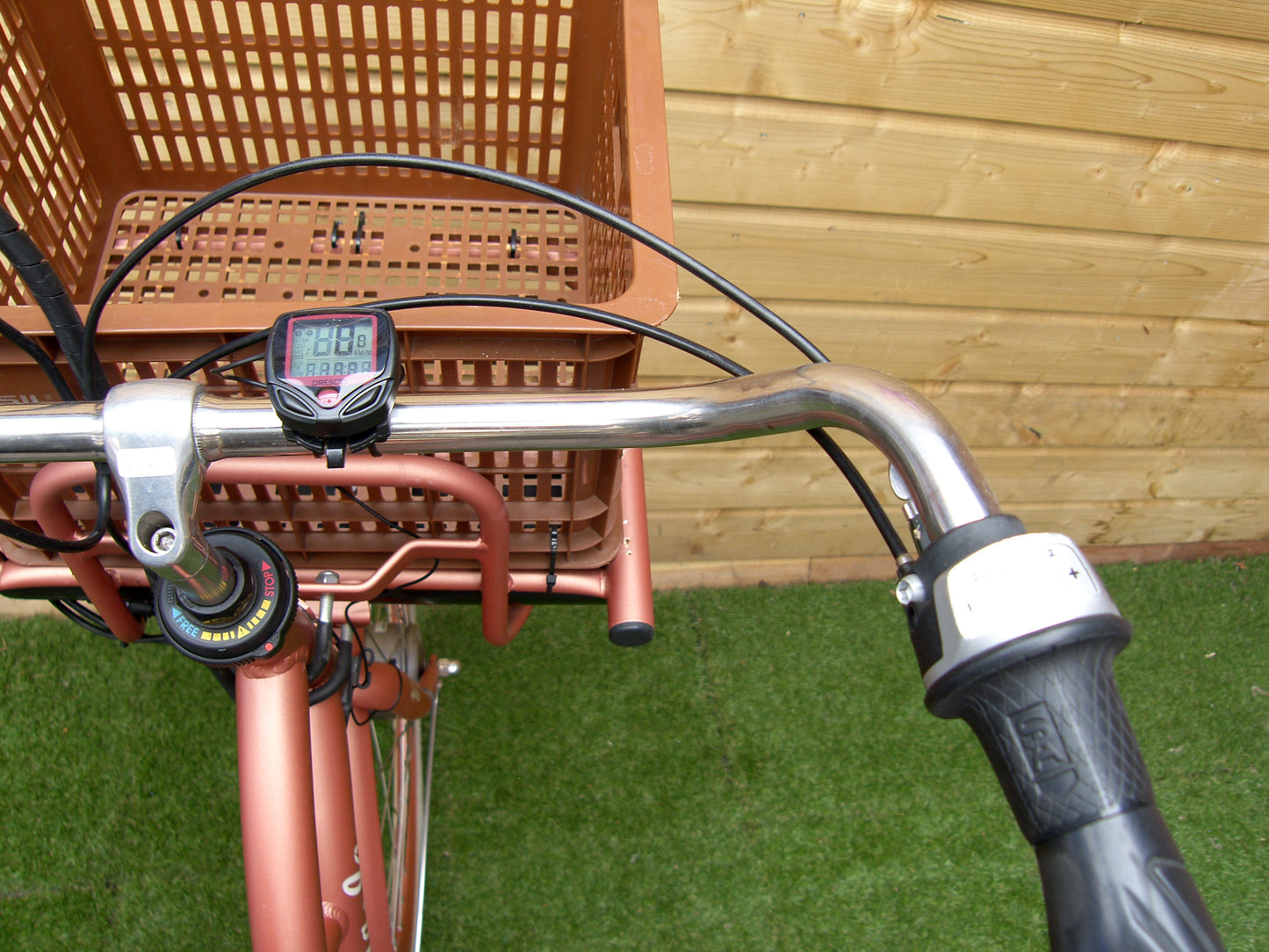 2538 - Sparta Lola JO